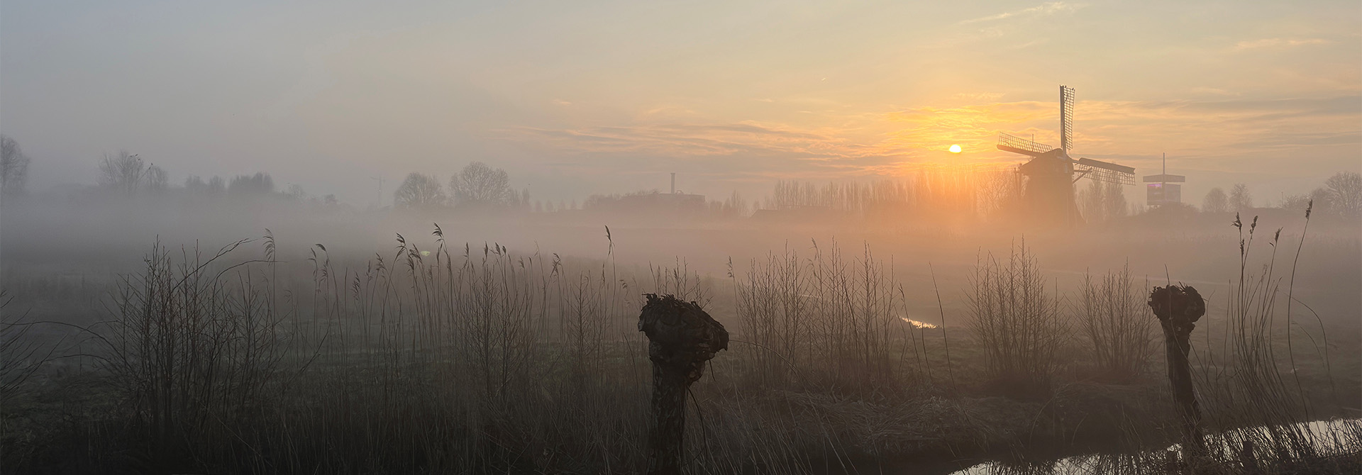 Omslagfoto