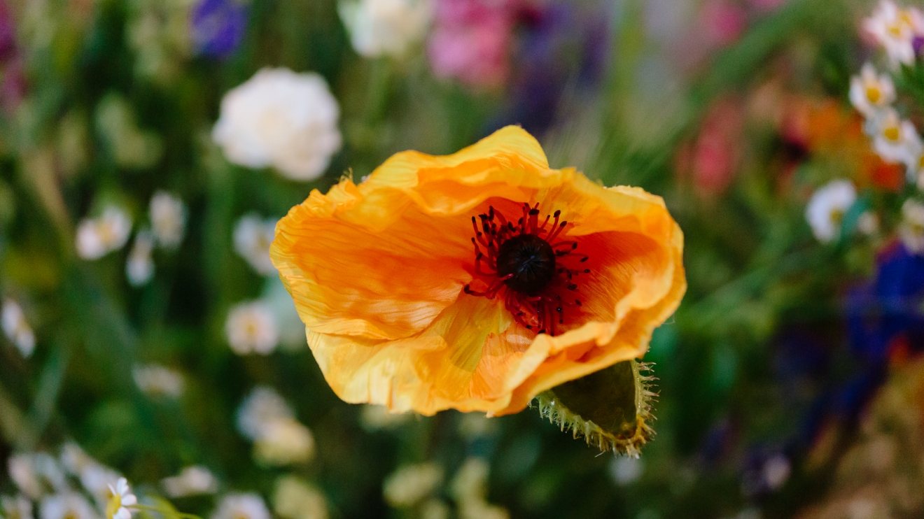 Bloemen bij afscheid CUVO