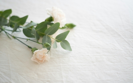 witte roos op linnen doek