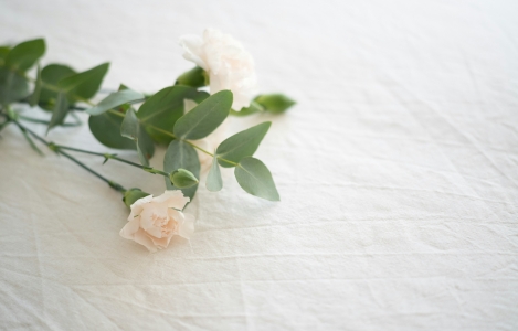 witte roos op linnen doek