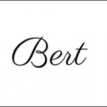 Afbeelding Bert Boender