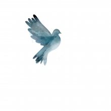 afb