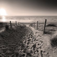 Marie Bal - Westerduin