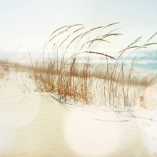 Marleen van der Harst